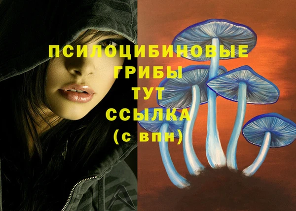 MDMA Premium VHQ Вяземский